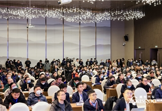 自动驾驶,芯片,中国,电子电气架构,车规级MCU