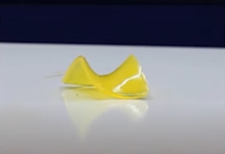 俄勒冈州立大学创建新3D打印方法 制造类似于肌肉的变形材料