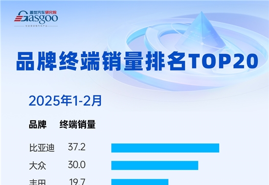 2025年1-2月分品牌与分价格段终端销量排行：本土品牌领跑，高端市场博弈加剧
