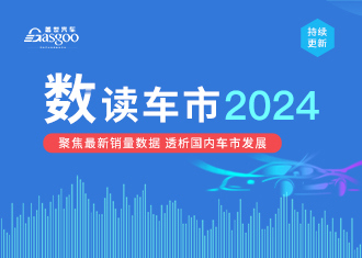 数读车市2024-10月销量解析