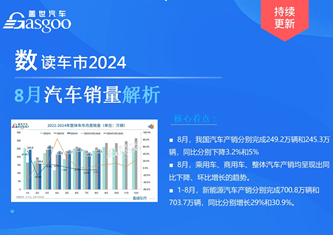 数读车市2024-8月销量解析