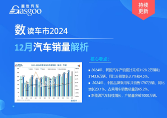 数读车市2024-12月及全年销量解析