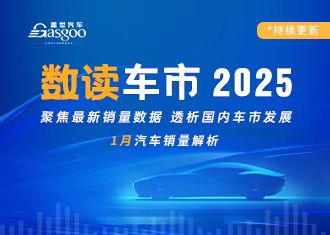 数读车市2025-1月销量解析