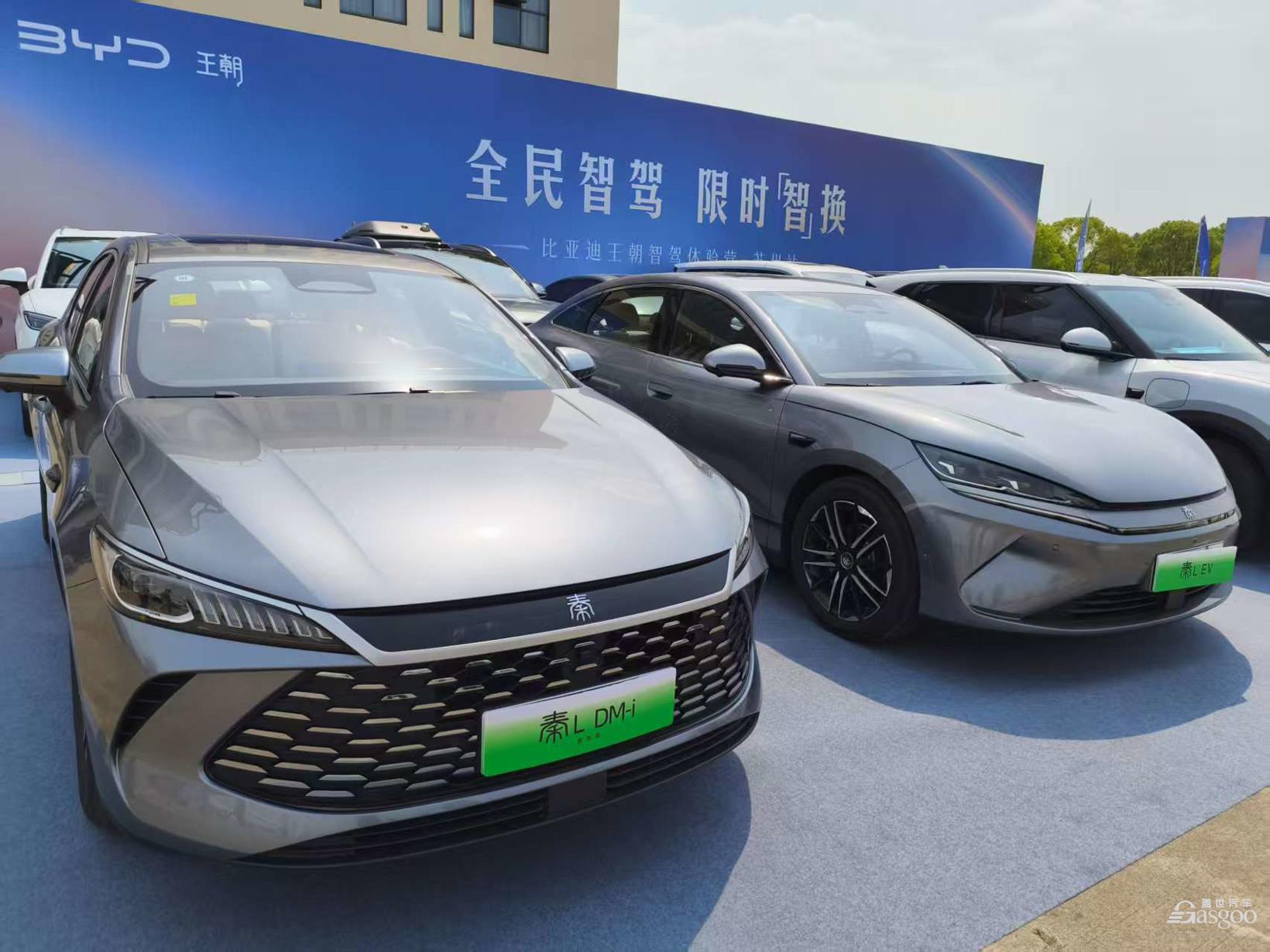智驾不再高高在上，比亚迪王朝试驾
