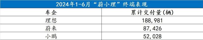 这半年，“蔚小理”谁都没料到