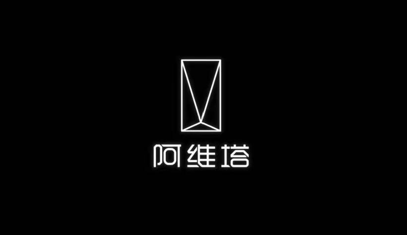 分工造车？国内车市又来了一个野心家