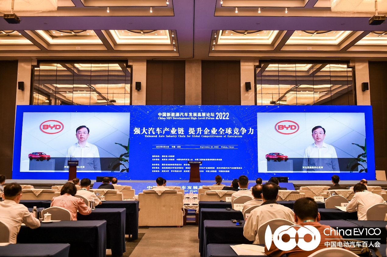 王传福：我国不能从石油进口依赖，转变为被钴镍卡脖子