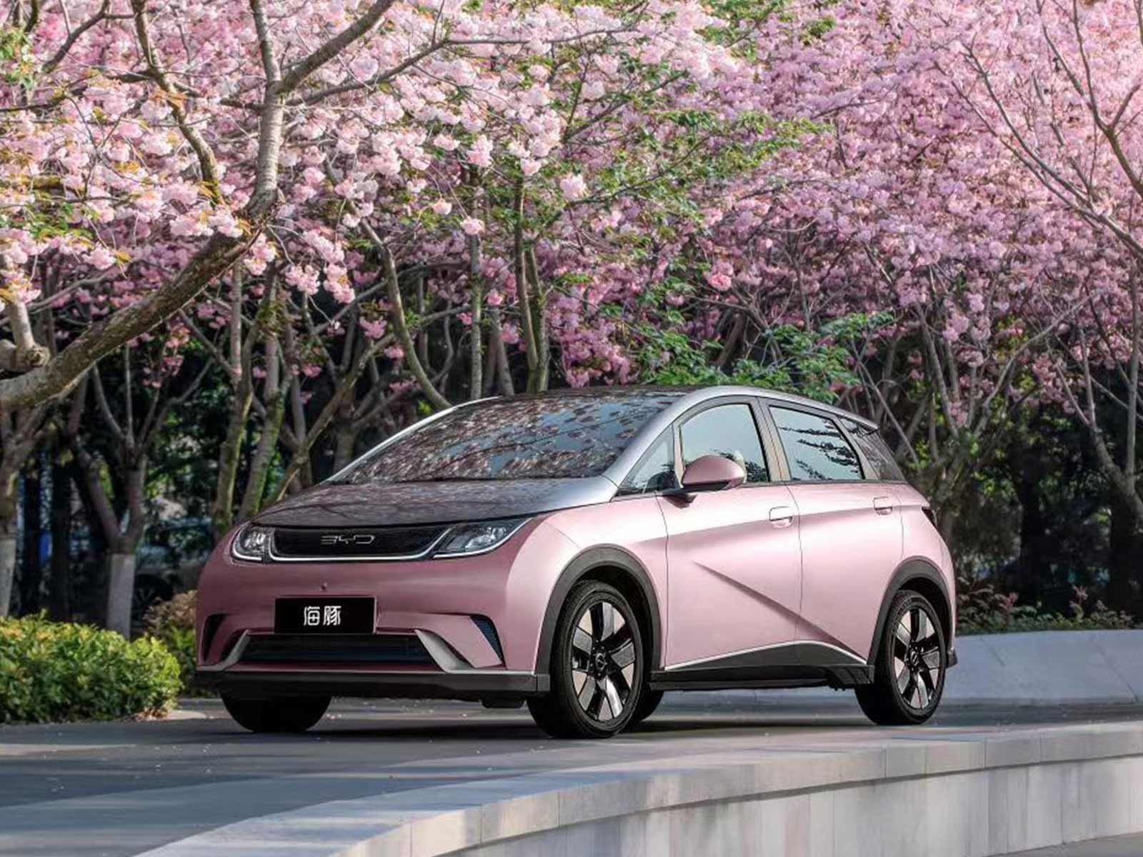 谁丢了燃油车的市场？|年终盘点