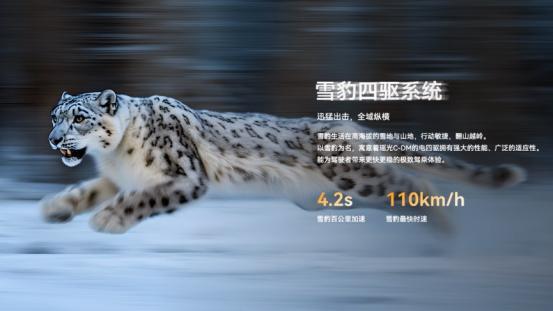 19.99-21.99万元 星途瑶光C-DM电四驱版上市